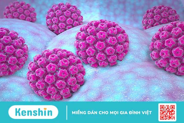 Cách đào thải virus HPV ra khỏi cơ thể triệt để