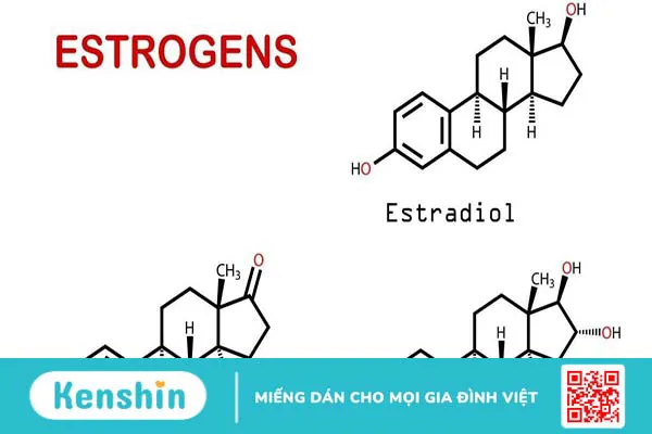 Cách để tăng nội tiết tố nữ tự nhiên cho cơ thể