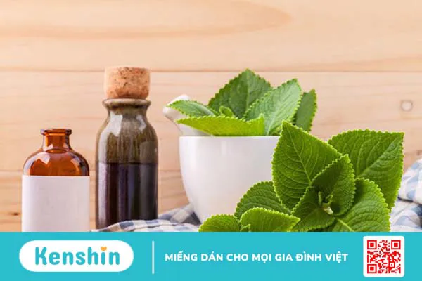 Cách giảm hôi miệng bằng thảo dược mà bạn nên biết