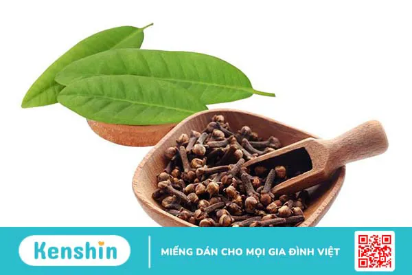 Cách giảm hôi miệng bằng thảo dược mà bạn nên biết