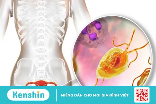 Cách nhận biết phụ nữ đã quan hệ nhiều lần thế nào? Lưu ý khi quan hệ