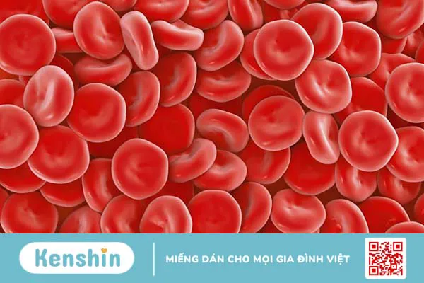 Cách phân loại nhóm máu và các nhóm máu phổ biến hiện nay