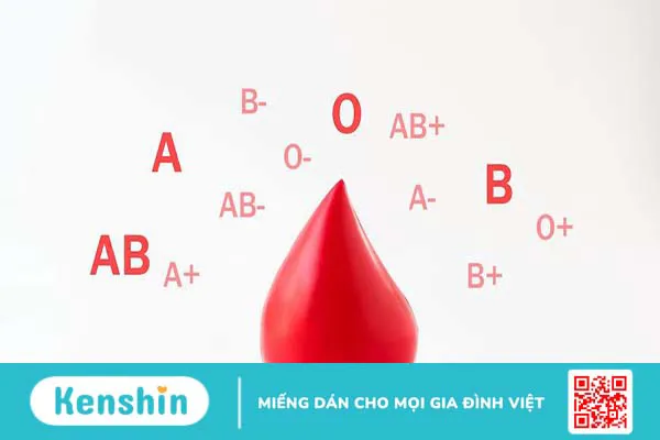 Cách phân loại nhóm máu và các nhóm máu phổ biến hiện nay