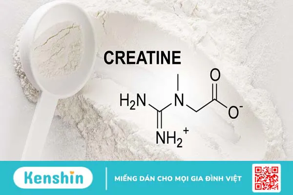 Cách sử dụng creatine hiệu quả nhất bạn đã biết chưa?