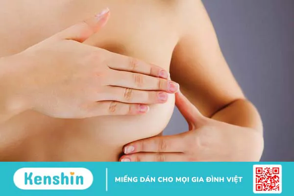 Cấu tạo, chức năng của tuyến vú và các bệnh lý thường gặp