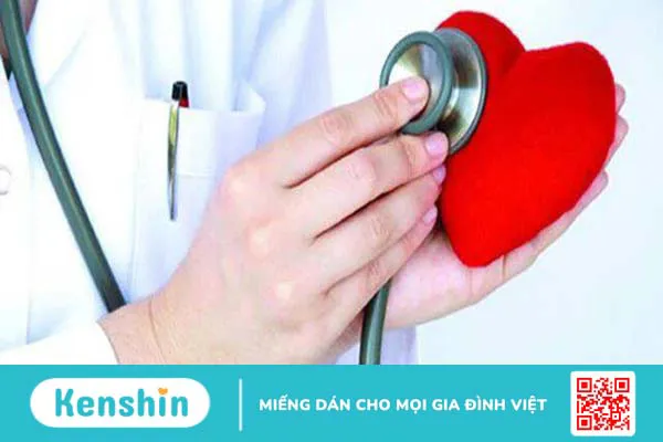 Cấu tạo, chức năng và hoạt động của cơ tim