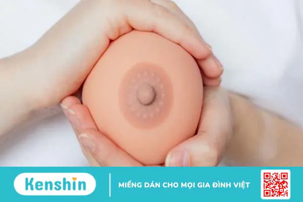 Cấu tạo của vú và những lưu ý về vú không phải ai cũng hiểu rõ