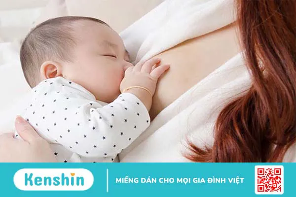 Cấu tạo của vú và những lưu ý về vú không phải ai cũng hiểu rõ