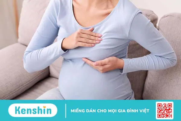 Cấu tạo của vú và những lưu ý về vú không phải ai cũng hiểu rõ