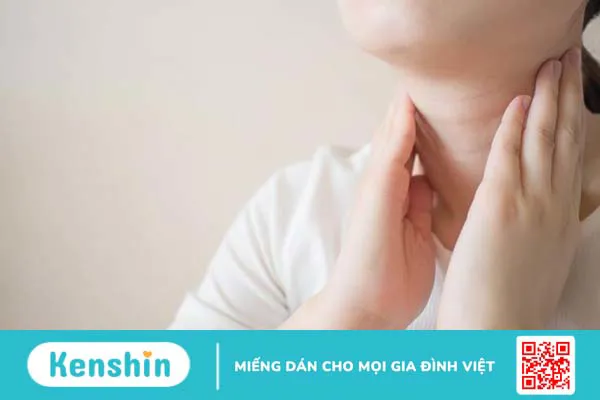 Cấu tạo và chức năng của hệ bạch huyết