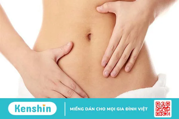 Cấu tạo và chức năng của rốn