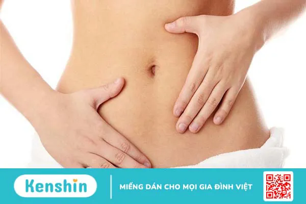 Cấu tạo và chức năng của rốn