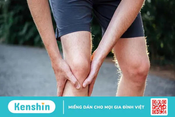 Cấu trúc của xương đùi trong cơ thể con người