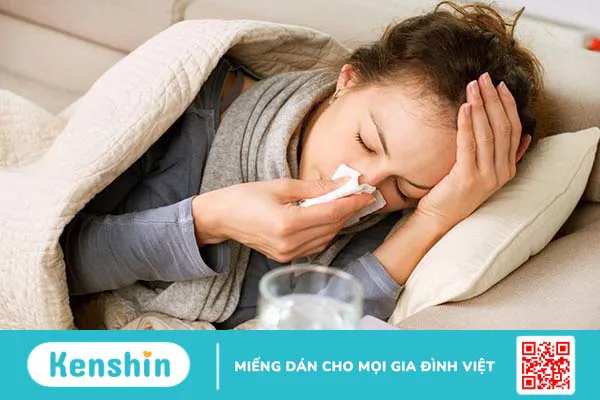 Cây nàng hai là gì? Tác dụng của cây nàng hai?