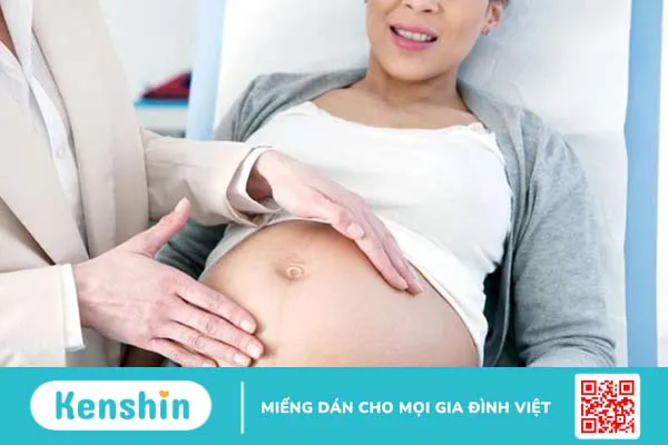 Cấy phôi thai: Yếu tố quyết định sự thành công của thụ tinh trong ống nghiệm