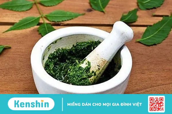 Cây vòi voi chữa vảy nến có hiệu quả không?