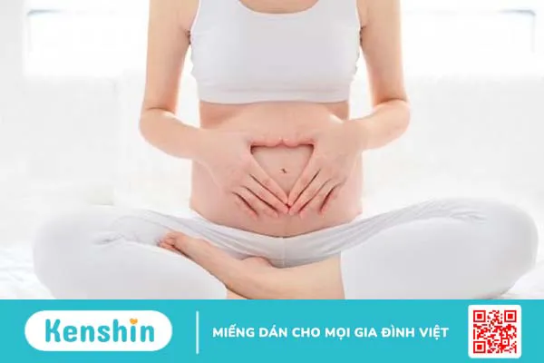 Cây vòi voi chữa vảy nến có hiệu quả không?