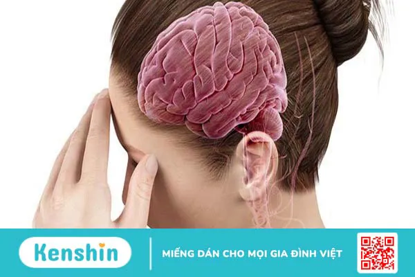 Chế độ ăn cho người bị phình mạch máu não giúp hỗ trợ cải thiện sức khỏe