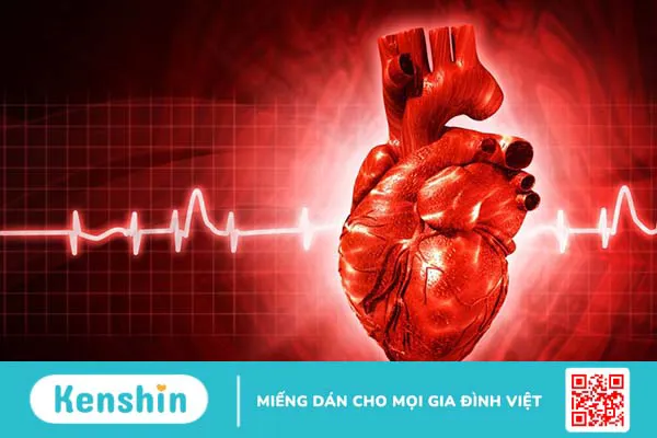 Chỉ định và chống chỉ định của phương pháp nong van động mạch phổi