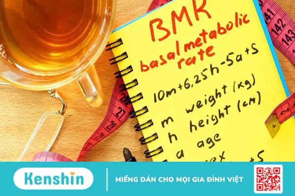 Chỉ số BMR là gì? Công thức tính và yếu tố tác động đến chỉ số đo BMR