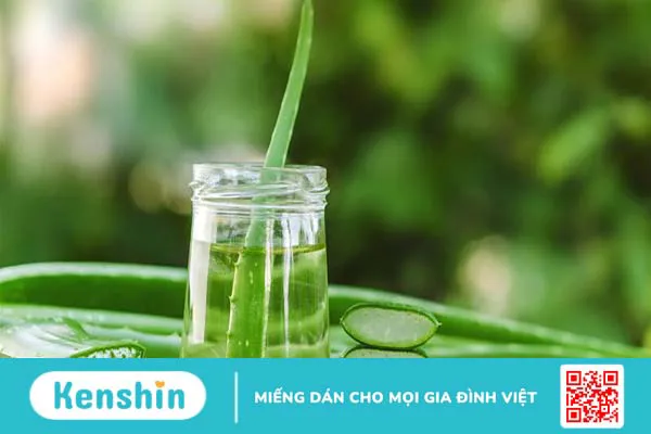 Chiết xuất lô hội là gì? Công dụng của lô hội với sức khỏe và làn da