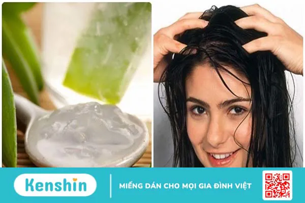 Chiết xuất lô hội là gì? Công dụng của lô hội với sức khỏe và làn da