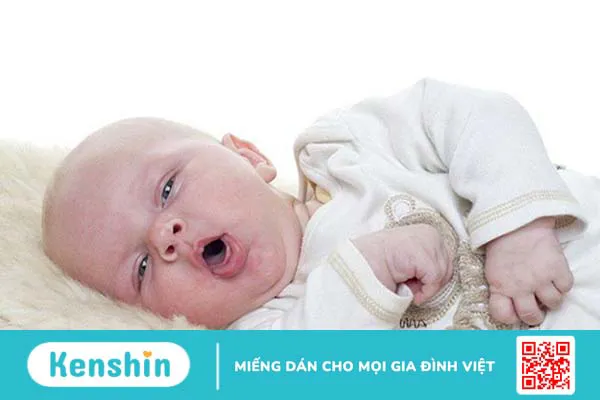 Giải đáp: Cho trẻ ăn rau chùm ngây như thế nào? 2