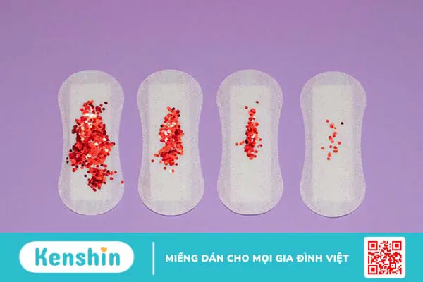 Chu kỳ kinh nguyệt và những điều cần biết 1