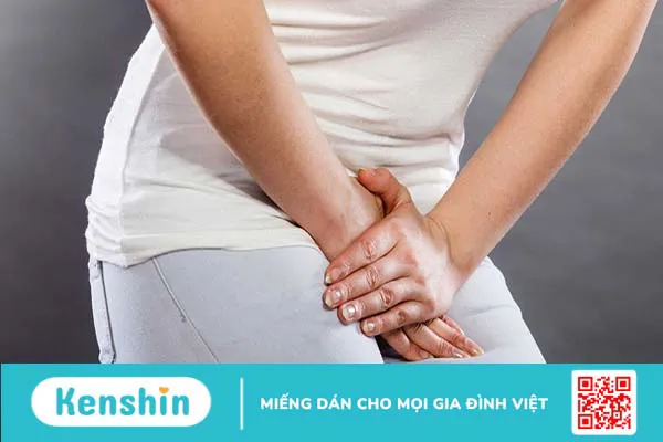 Chứng bàng quang thấp nhiệt là gì?