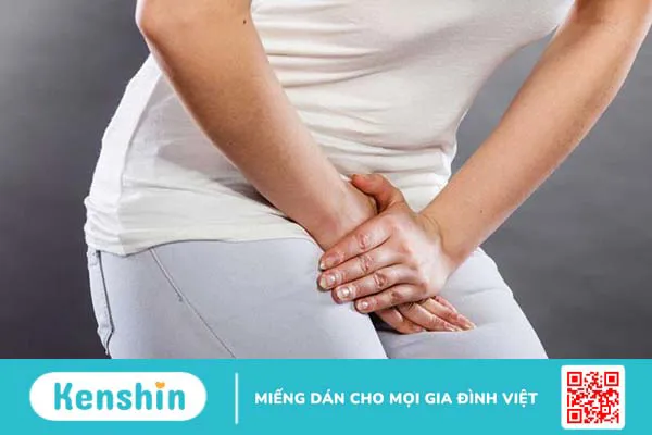 Chứng bàng quang thấp nhiệt là gì?