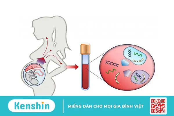 Chuyển đoạn Robertson có thể gây ra những hậu quả gì?