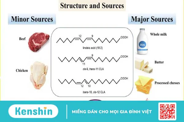 CLA là gì? Lợi ích sức khỏe mà CLA mang lại