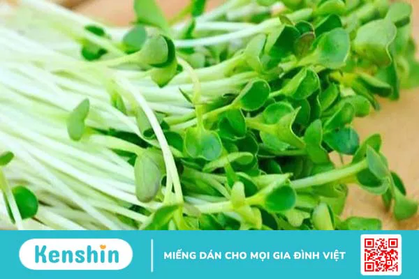 Có nên cho trẻ ăn rau mầm? Rau mầm có tác dụng gì với trẻ nhỏ?