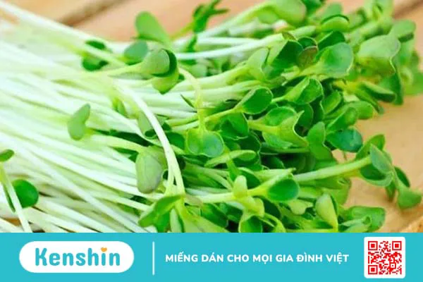 Có nên cho trẻ ăn rau mầm? Rau mầm có tác dụng gì với trẻ nhỏ? 1