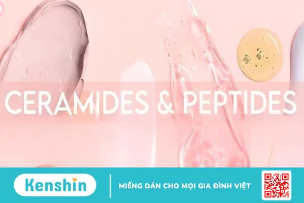 Có nên kết hợp Ceramide và Peptide khi chăm sóc da hay không?