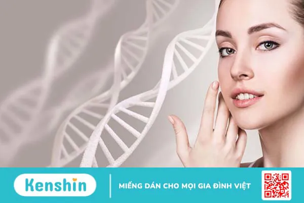 Có nên kết hợp Ceramide và Peptide trong cùng một quy trình chăm sóc da hay không? 2