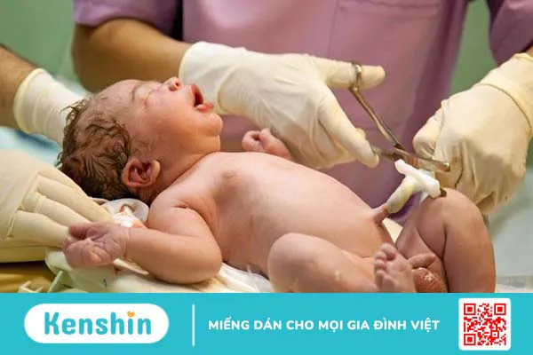 Có nên lưu trữ máu cuống rốn không? Điều cha mẹ muốn biết 1