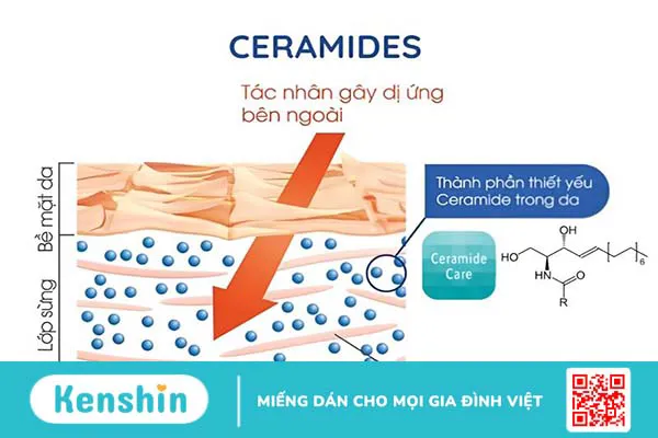 Có nên sử dụng kết hợp Ceramide và Vitamin C hay không? 1