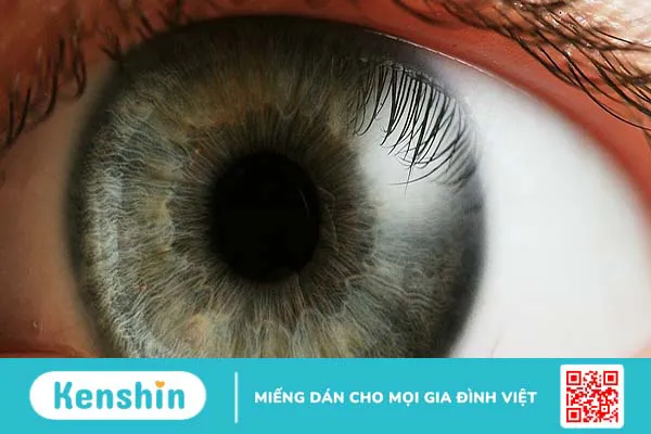 Con ngươi của mắt có tác dụng gì? Cách chăm sóc và bảo vệ mắt