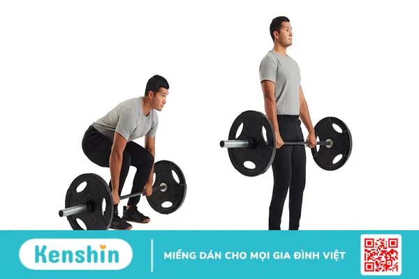 Conventional và Sumo khác nhau như thế nào?