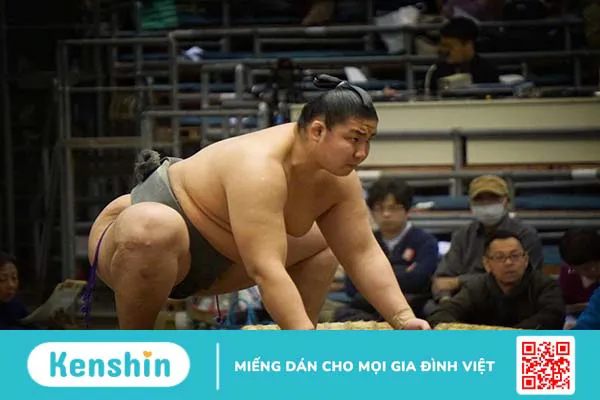 Conventional và Sumo khác nhau như thế nào?