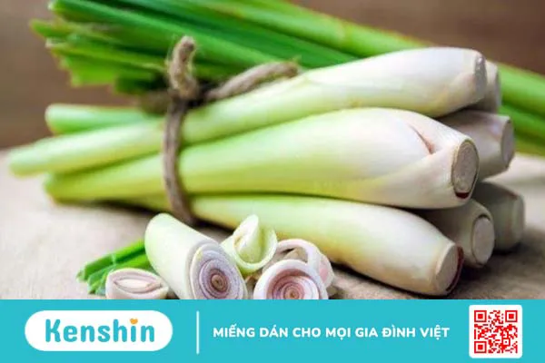 Củ sả: Dược liệu dễ tìm và đa công dụng