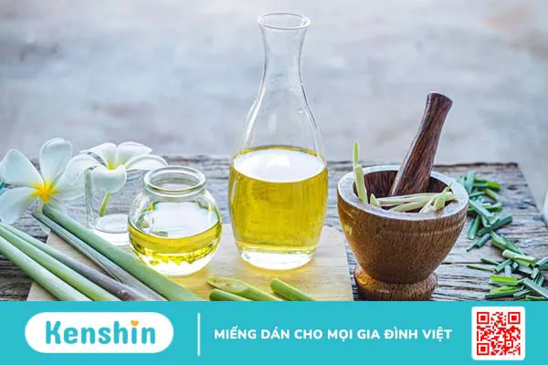 Củ sả: Dược liệu dễ tìm và đa công dụng 6