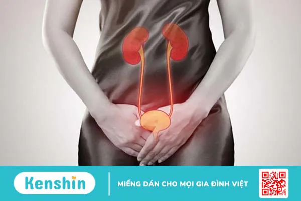 Dẫn lưu nước tiểu bàng quang được thực hiện khi nào?