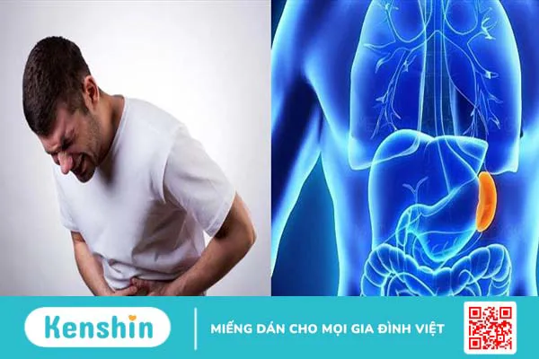 Dập lá lách bao lâu lành? Làm sao hồi phục?