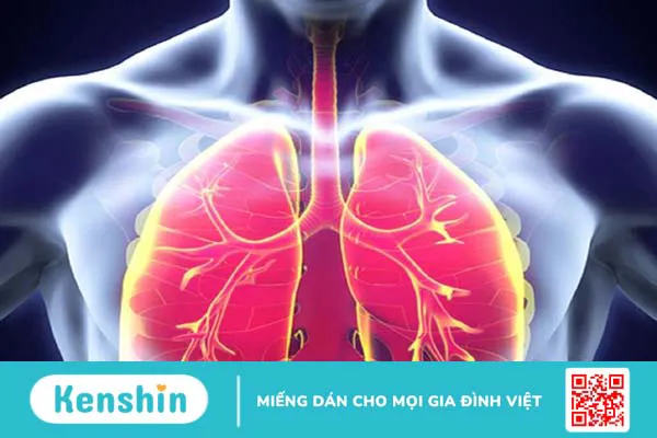 Dập phổi và các tổn thương thường gặp trong chấn thương ngực 3