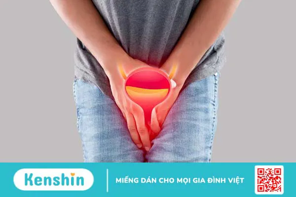 Dấu hiệu bàng quang có vấn đề và cách giúp bàng quang được khỏe mạnh