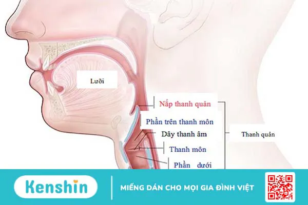 Dấu hiệu thực quản có vấn đề mà bạn nên biết