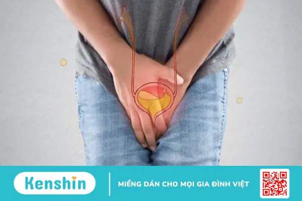 Dấu hiệu tuyến tiền liệt có vấn đề là gì?