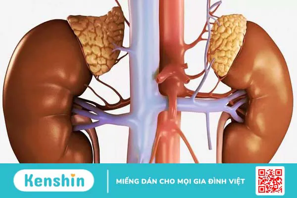 Dấu hiệu và cách điều trị rối loạn nội tiết tố 2